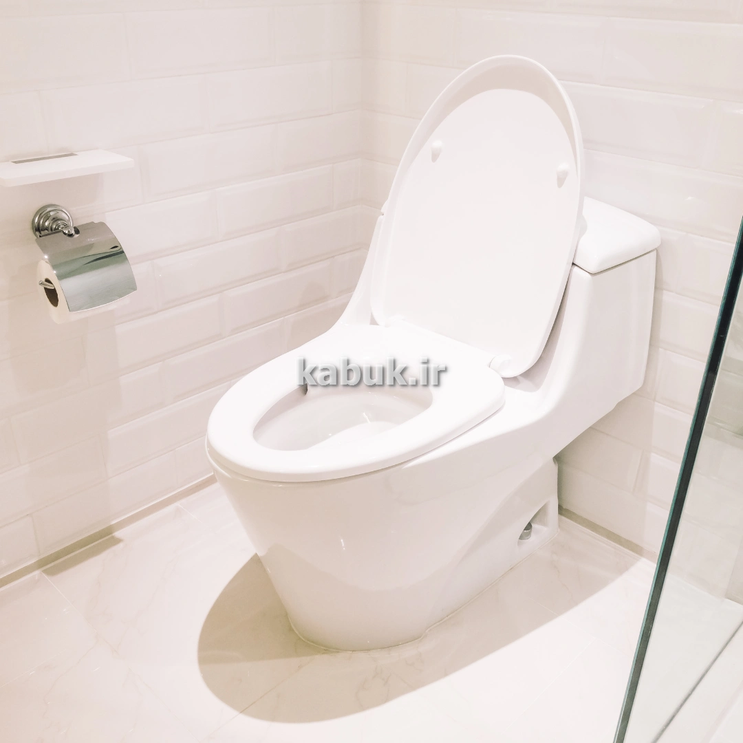 خرید توالت فرنگی به صرفه
