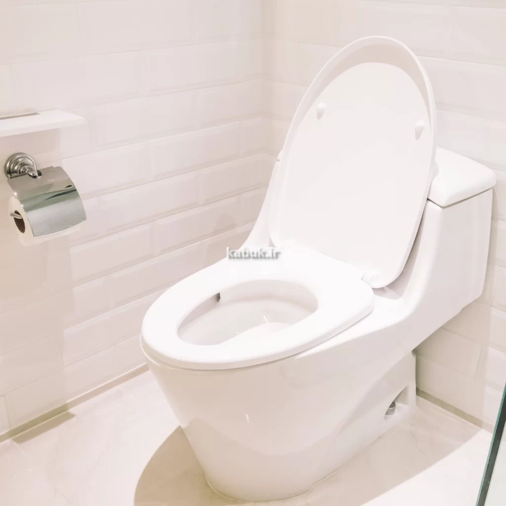 توالت فرنگی تاشو دیواری در مشهد