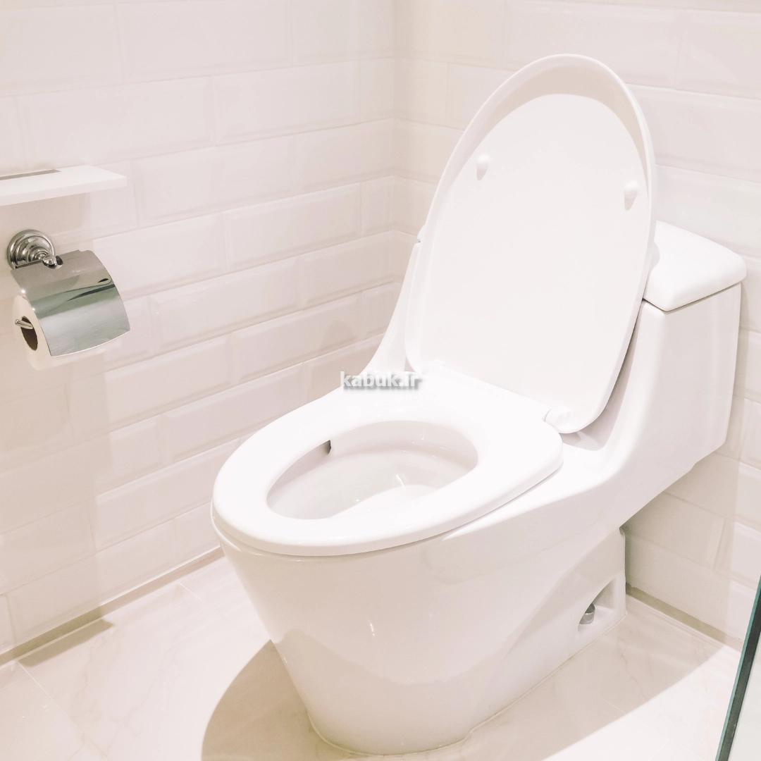 توالت فرنگی تاشو دیواری در مشهد