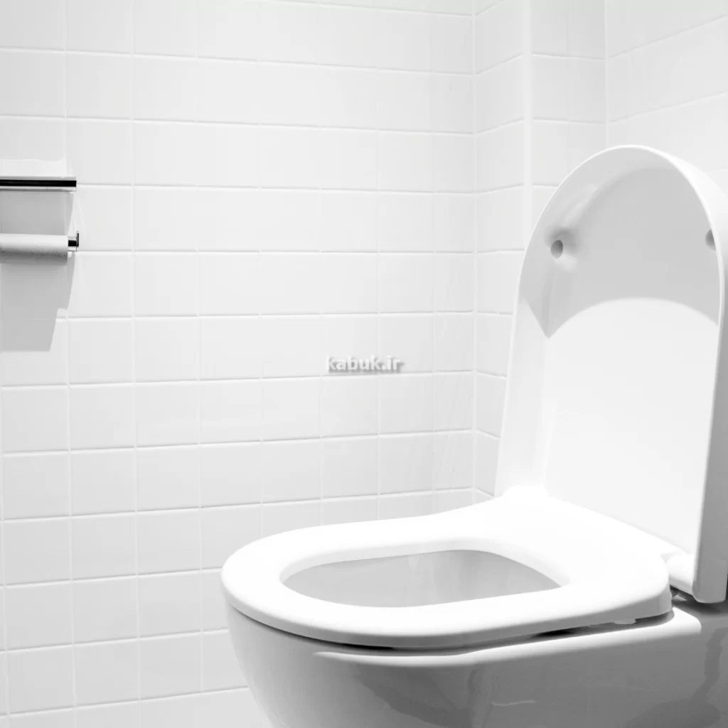 فروش توالت فرنگی ایرانی و خارجی در مشهد